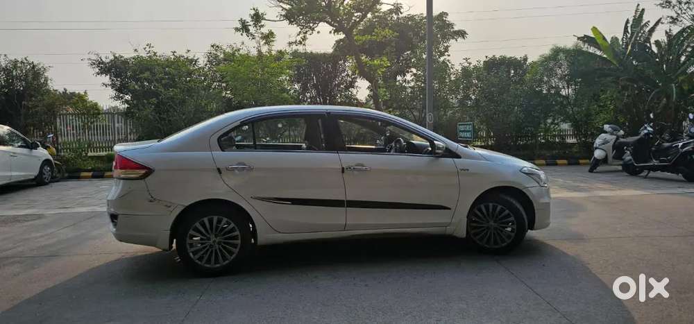 Maruti Suzuki Ciaz Alpha [ Top Model ] Available For Sale