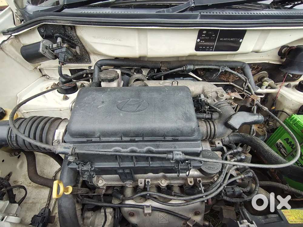 Hyundai Santro Xing 2010 Model
