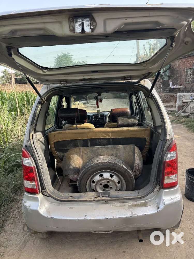 Maruti Suzuki Wagon R Flex Fuel 2009