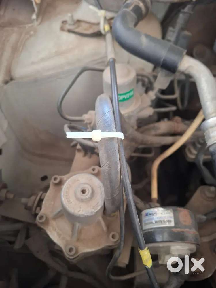 Maruti Suzuki Celerio 2015 Cng & Hybrids Good Condition