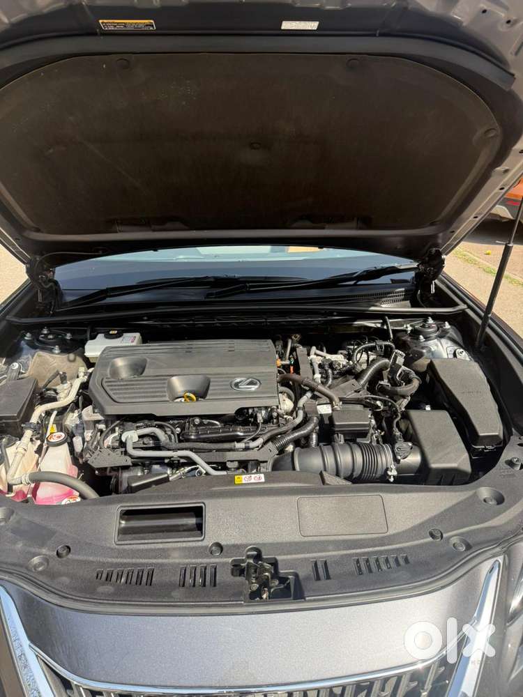 Lexus Es 300h Exquisite, 2023, Petrol