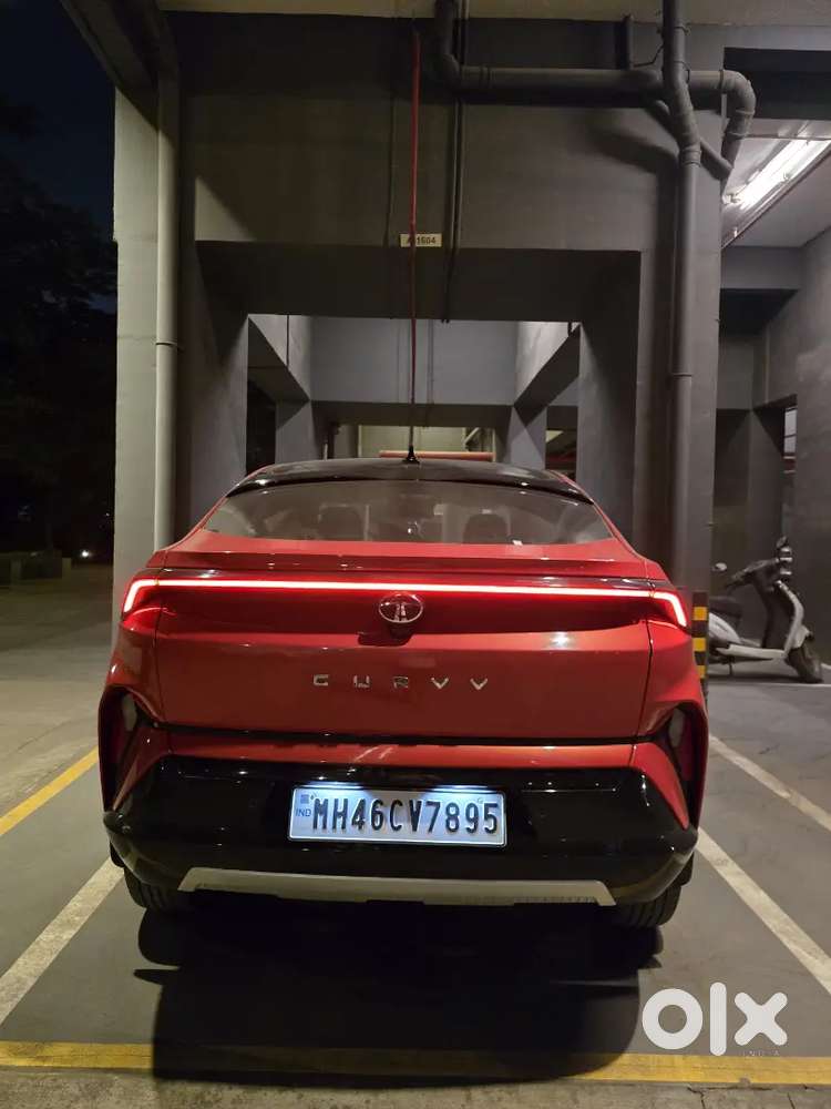 Tata Curvv 2025 Petrol 8245 Km Driven