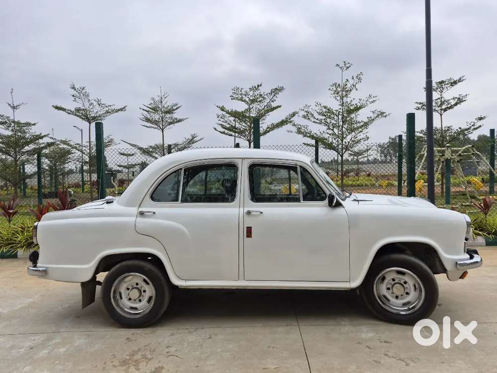 Ambassador Mark 4