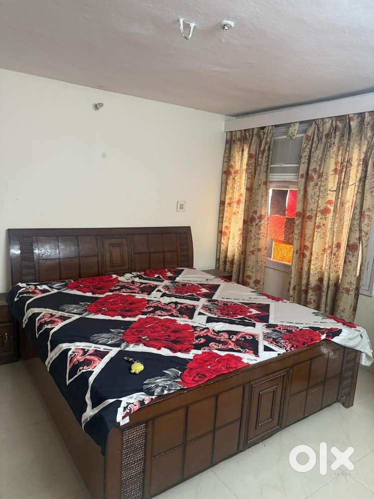 PG & Guest Houses in Sector 10 : 1393 Boys and Girls Guest House