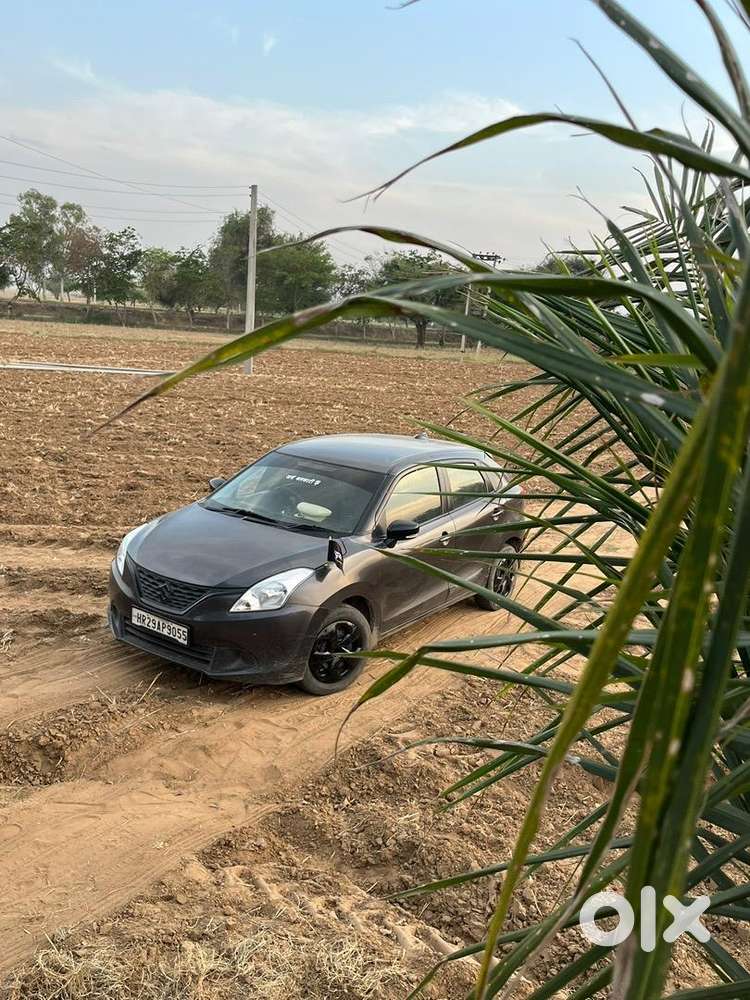 Maruti Suzuki Petrol Manual 2017