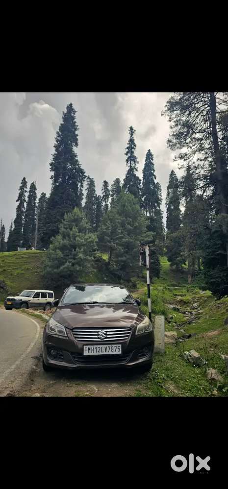 Maruti Suzuki Ciaz 2015 Diesel