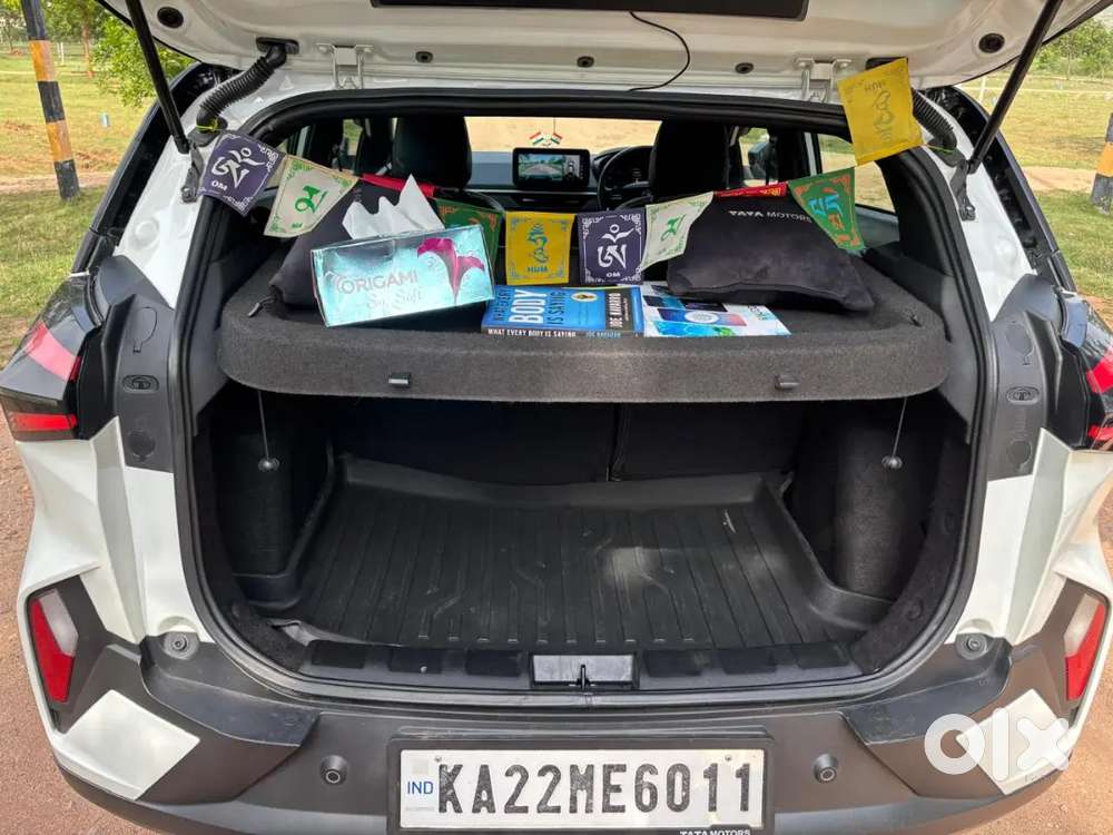 Tata Nexon 2025 Petrol Well Maintained