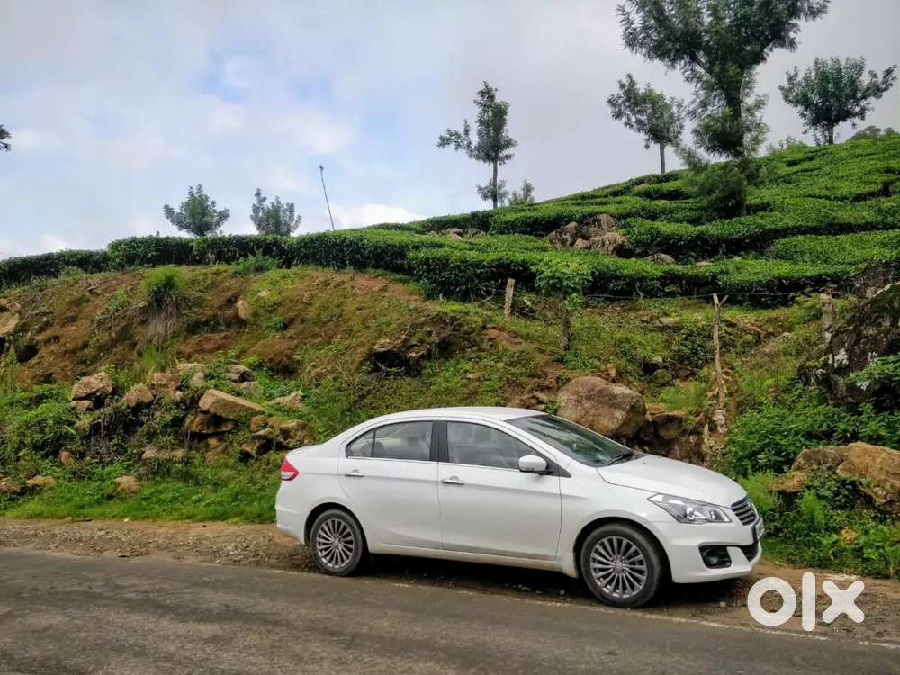 Maruti Suzuki Ciaz Alpha Petrol 2017 At