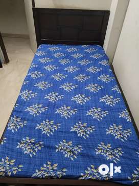 Single cheap cot olx