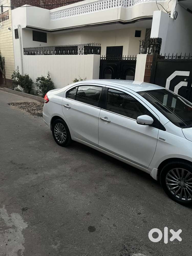 Maruti Suzuki Ciaz Diesel 2017 Alpha Top Model In Brand New Condition