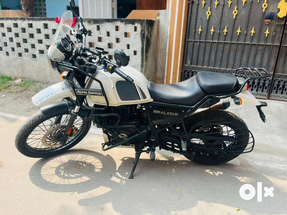 Himalayan snow white bs6 hotsell