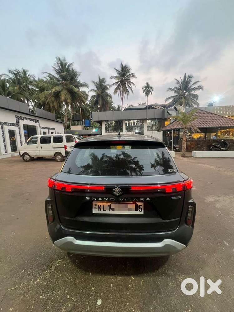 Maruti Suzuki Petrol 2024