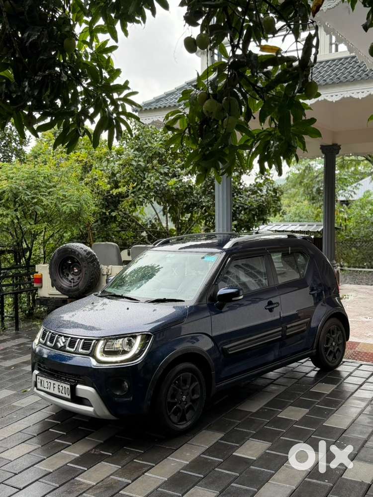 Maruti Suzuki Ignis Alpha 2024