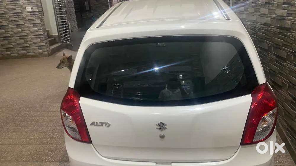 Maruti Suzuki Alto 2020 Cng & Hybrids Well Maintained