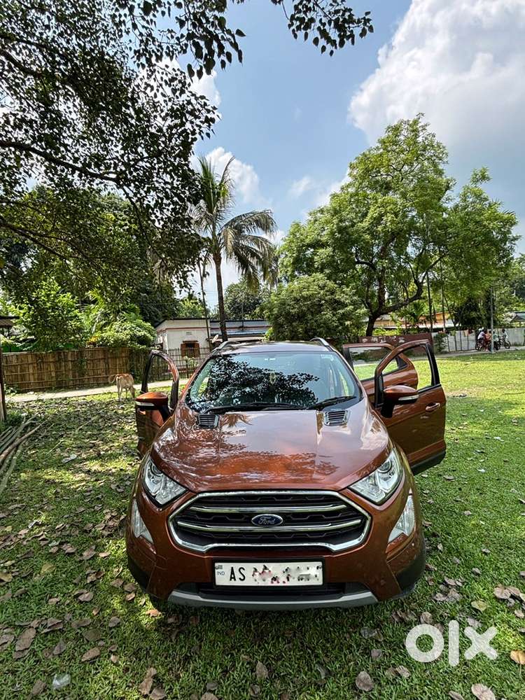 Ford Ecosport 2018 Petrol 30500 Km Driven Well Maitain