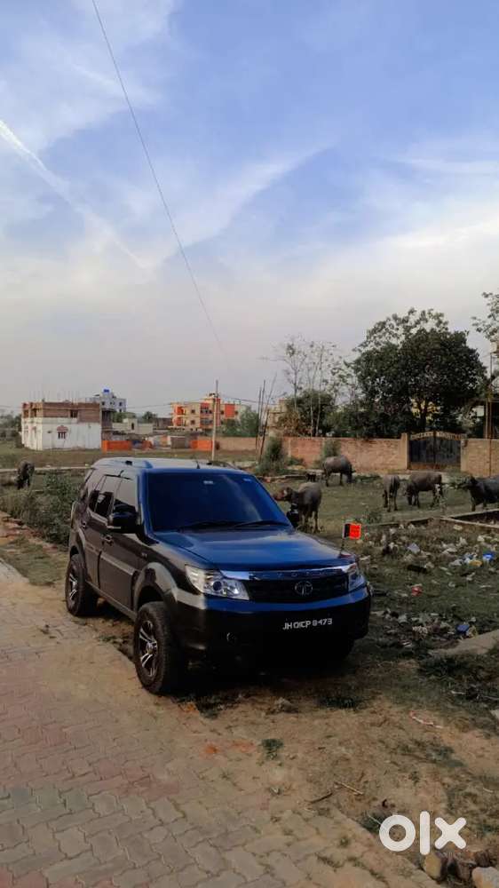 Safari Storme Vx