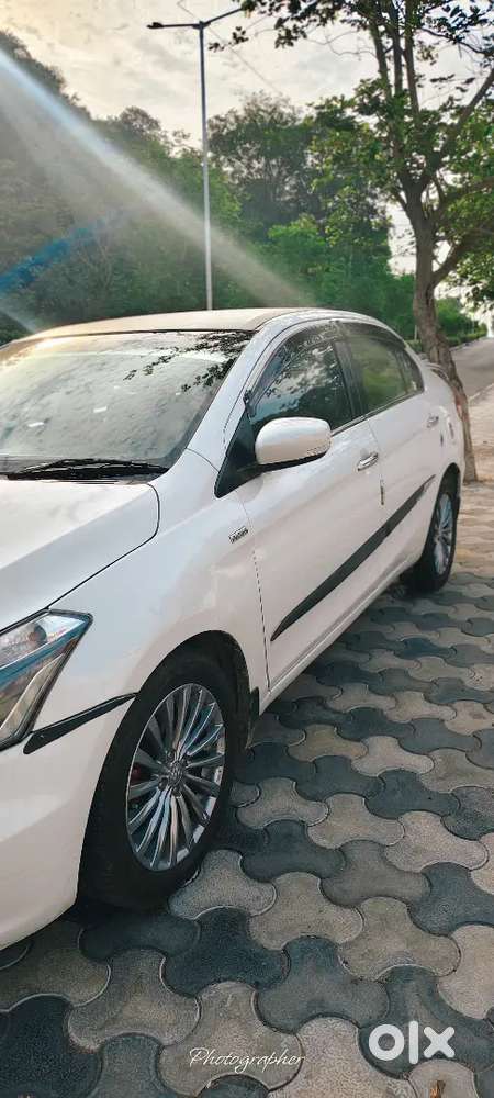 Maruti Suzuki Ciaz 1.3 2017 Diesel