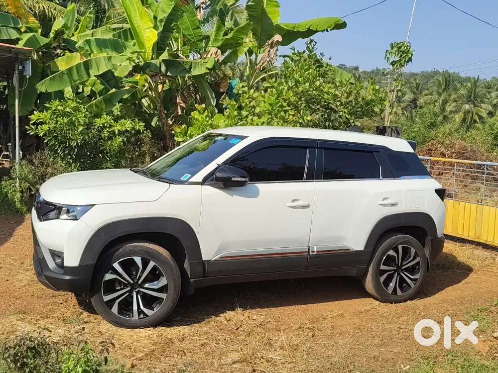 Maruti Suzuki Brezza 2024 Petrol Well Maintained