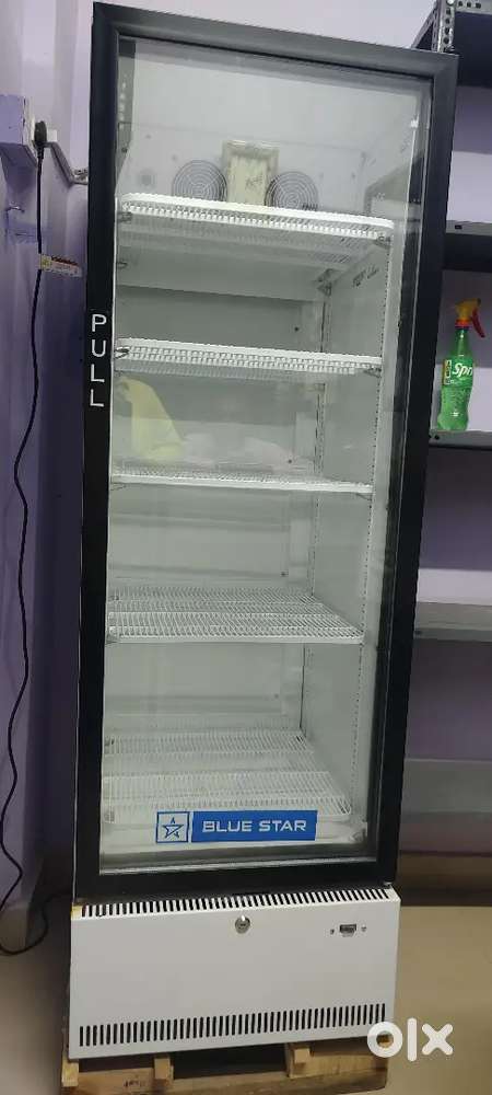 Blue Star Freezer