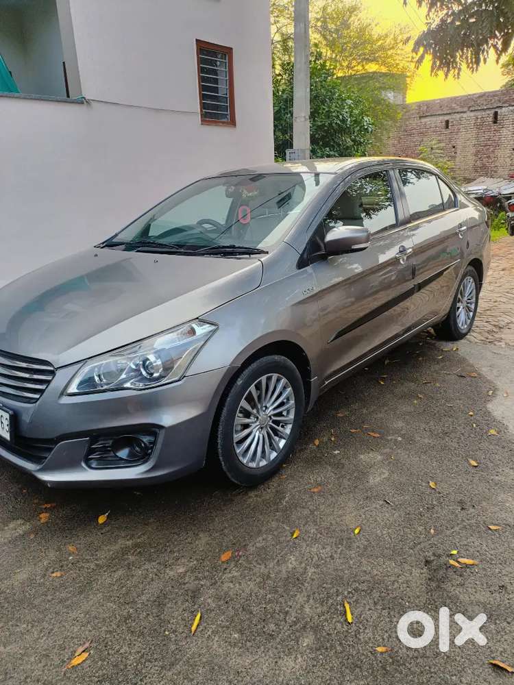 2017 Maruti Suzuki Ciaz Zdi Plus Shvs