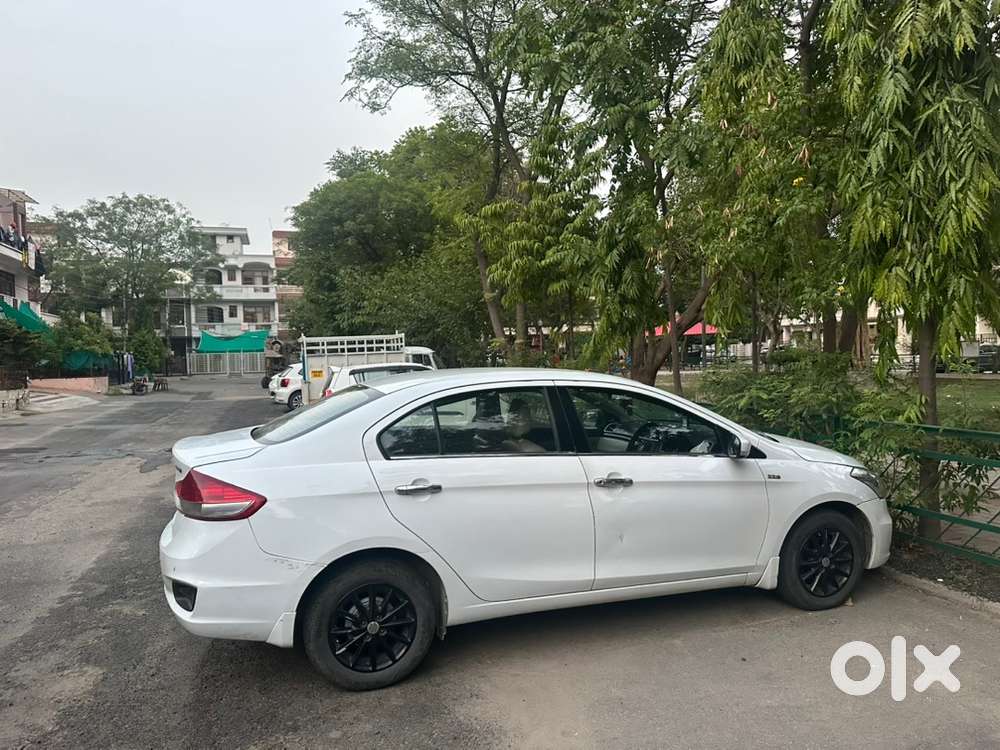Maruti Suzuki Ciaz 2017 Diesel First Owner