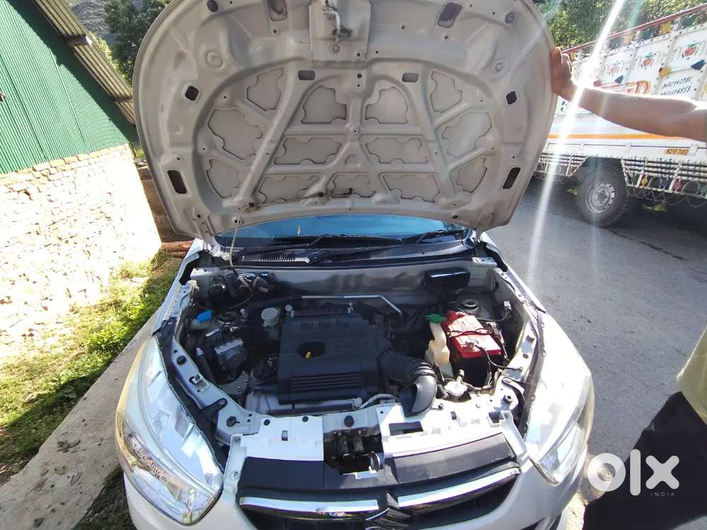 Maruti Suzuki 1000 2019 Petrol Good Condition