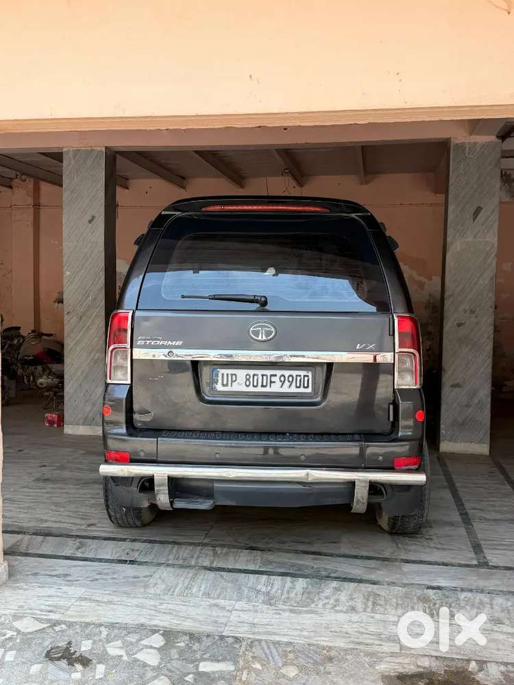 Vip Condition Top Model Safari Storme
