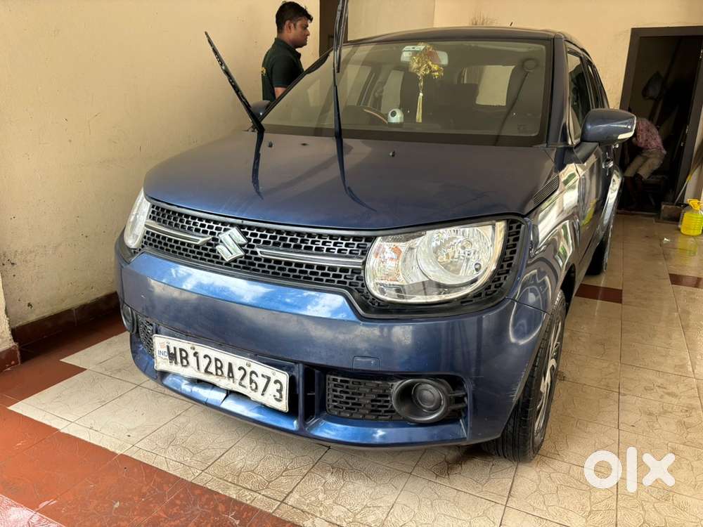 Maruti Suzuki Ignis 2019 Car