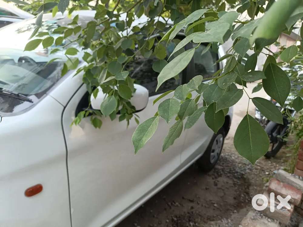 Maruti Suzuki Alto 2023 Variant