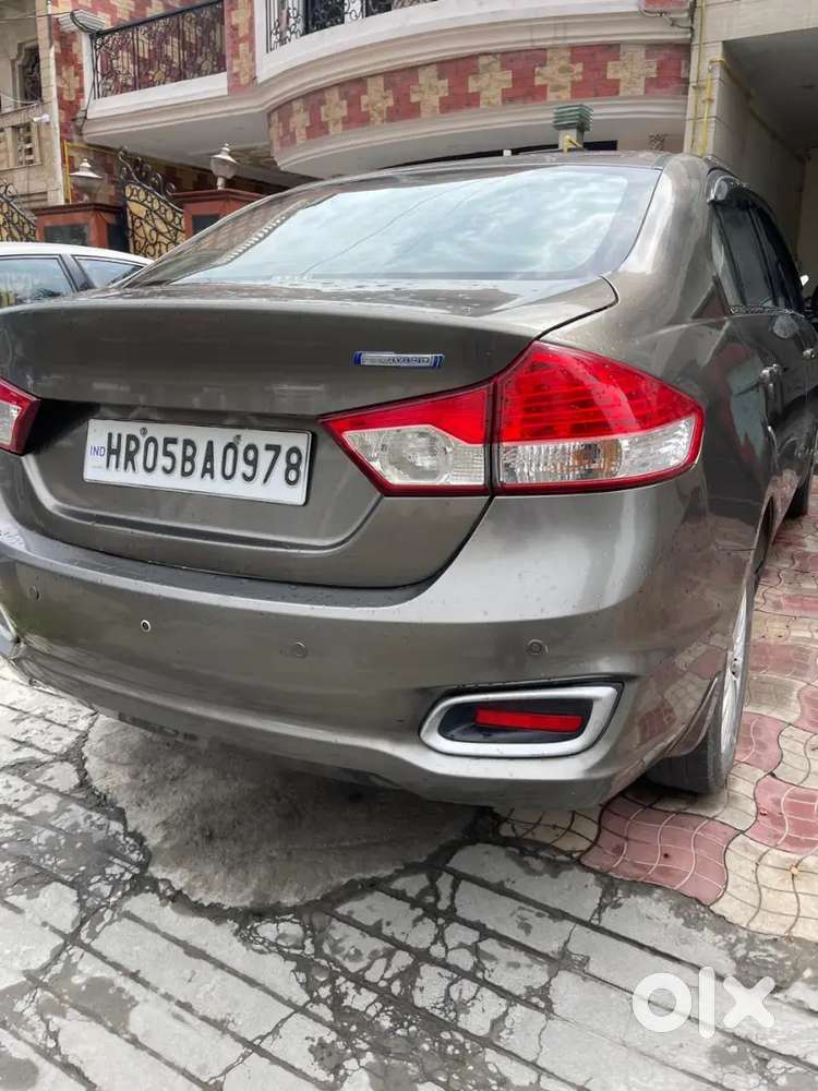 Maruti Suzuki Ciaz 2019 Cng & Hybrids Well Maintained