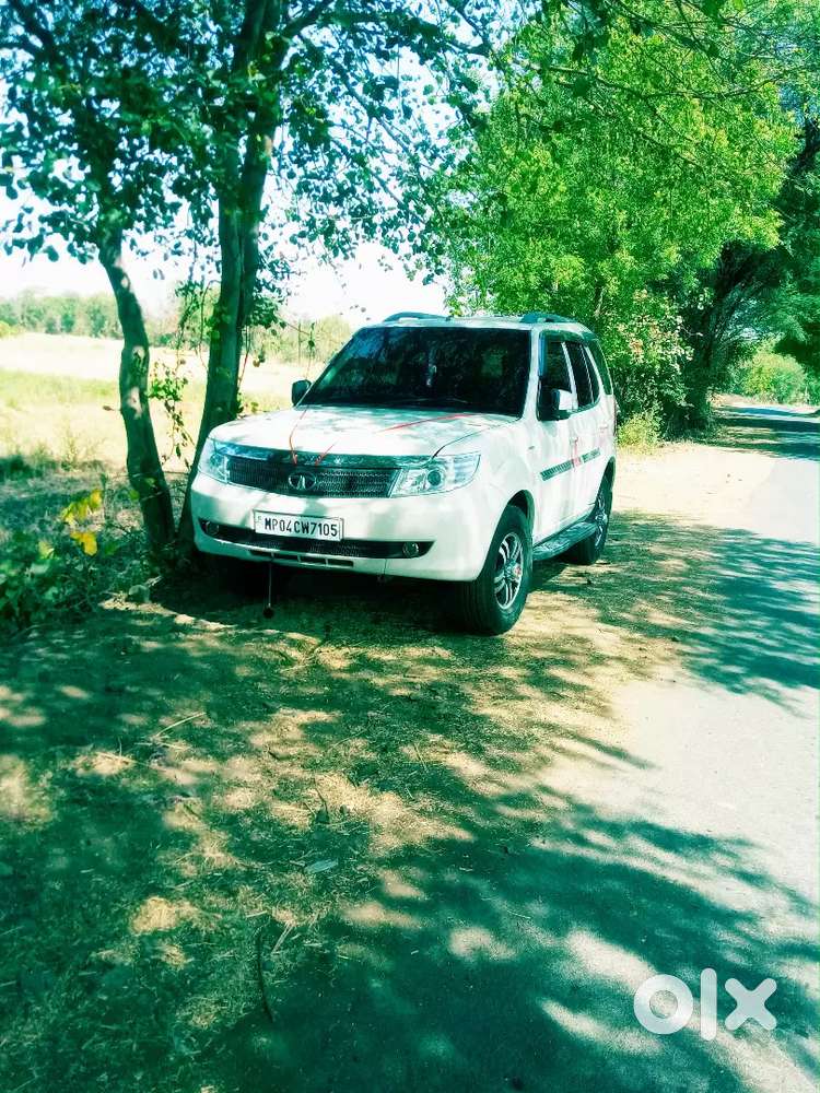 Safari Strome Varicor Ex Variant  Allow Well And Tayar New Wellmantain