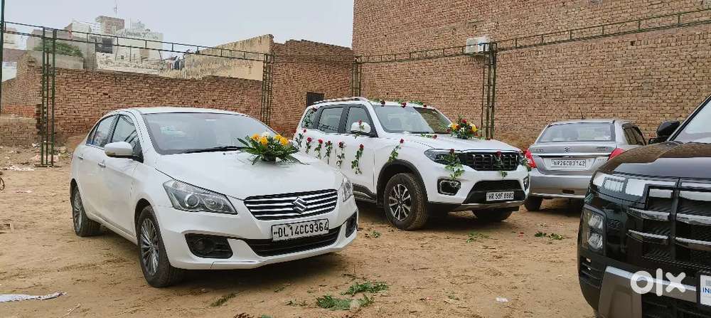 Ciaz Diesel Zdi+ 2016 December