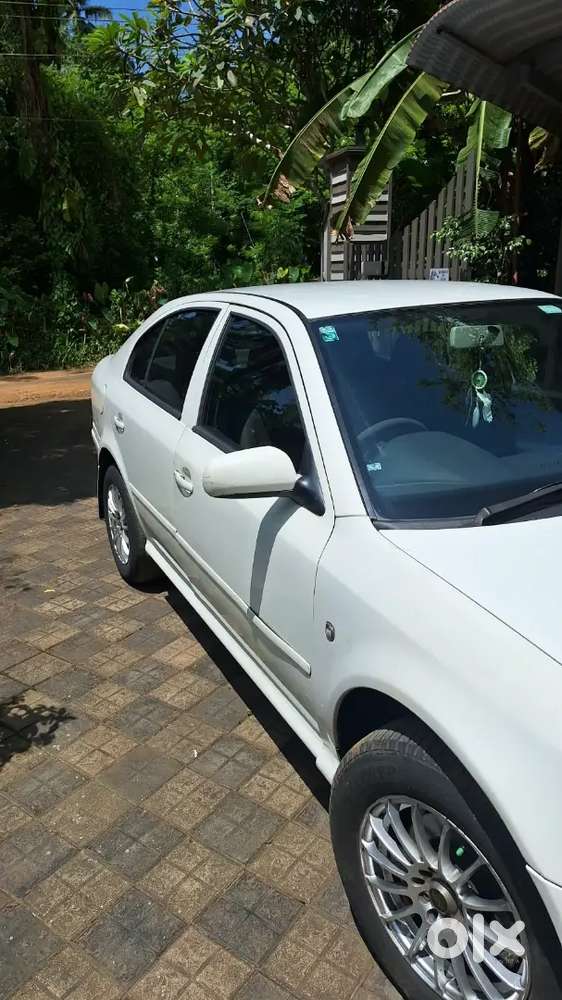 Skoda Octavia 1.9 Tdi 2009 Ambiente