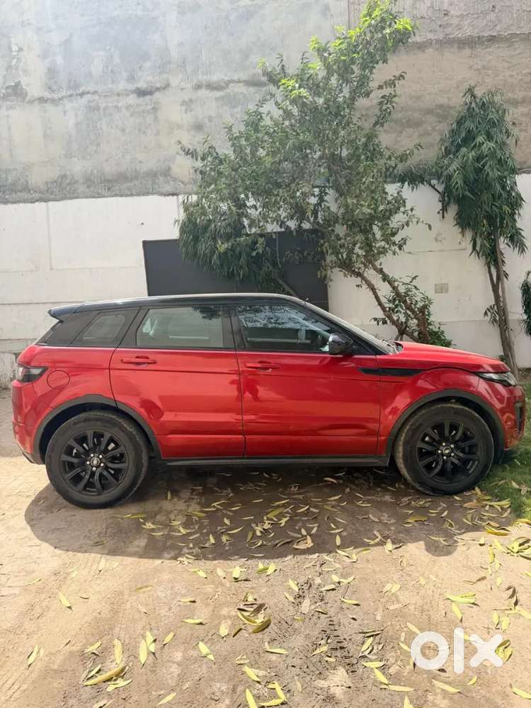 Range Rover Evoque Diesal 2017