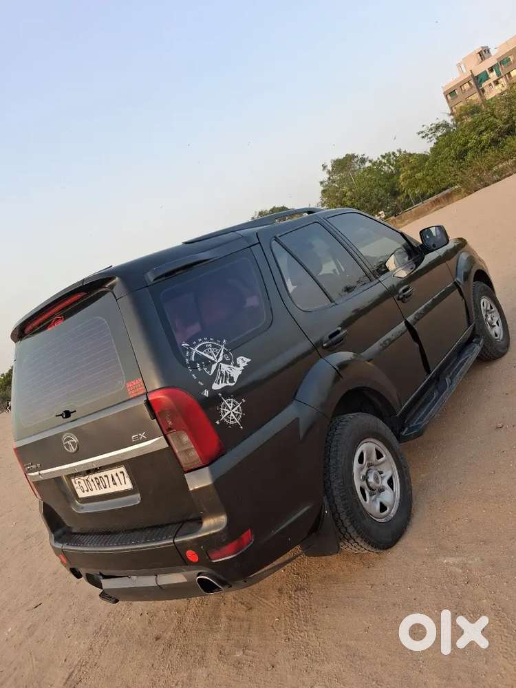 Safari Storme
