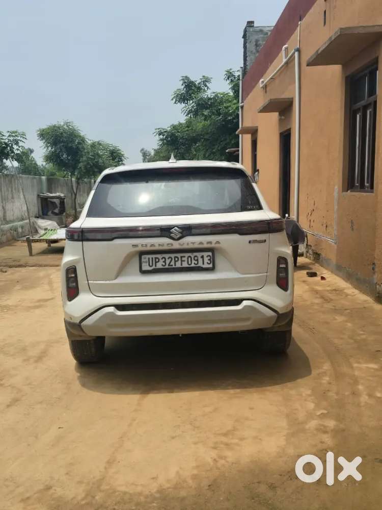 Maruti Suzuki Grand Vitara 2024 Petrol 20000 Km Driven
