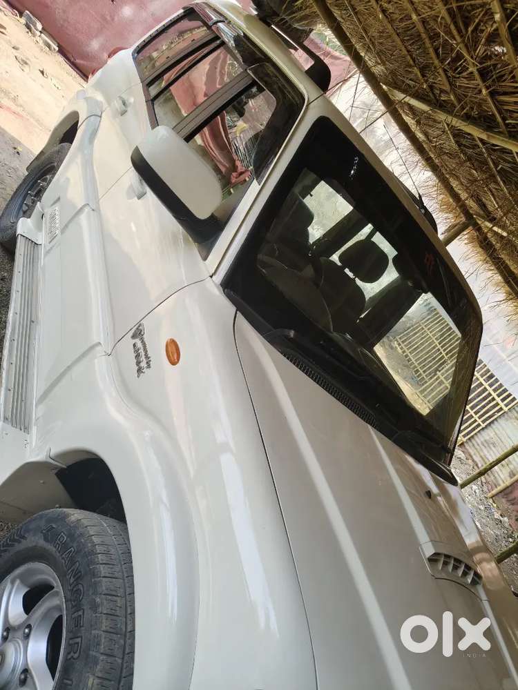 Scorpio  Likely Brand  New Condition