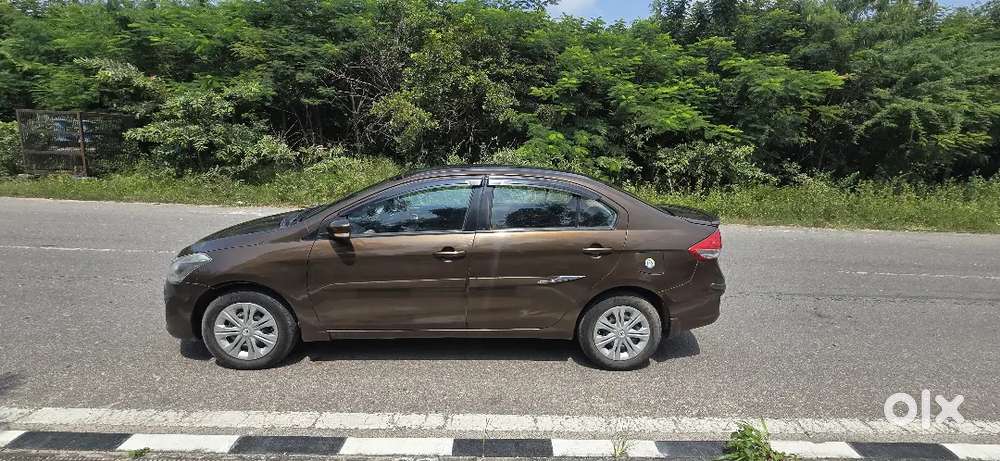 Maruti Suzuki Ciaz 2016 Diesel Well Maintained