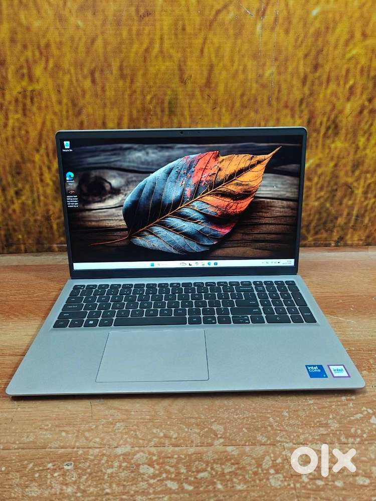 Dell 15 DC15250 Intel Core 3 100U Processor 14th Generation 6 Months