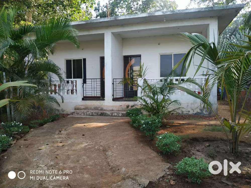 Room for rent For Rent Houses & Apartments 1785541858