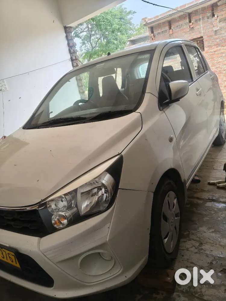 Maruti Suzuki Celerio 2019 Cng & Hybrids Good Condition