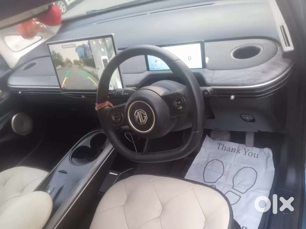 Mg Windsor Ev, 2025, Electric