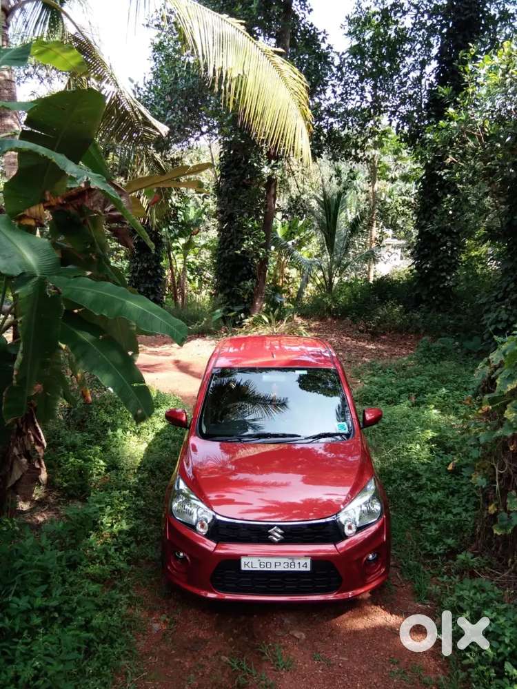 Maruti Suzuki Celerio 2018 Petrol 53000 Km Driven