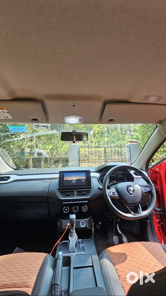 One Year Old Kiger For Sale