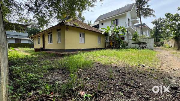 7.600 cents residential plot for sale at Padamugal Palachuvad road