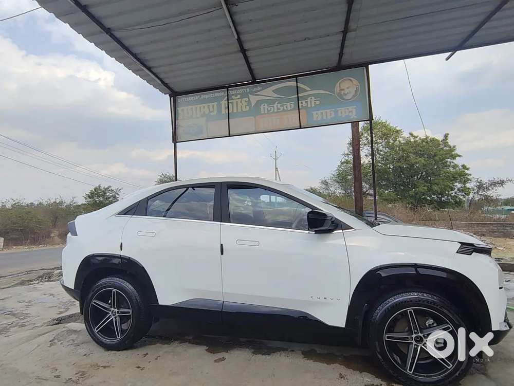 Tata Curvv 2024 Petrol Well Maintained