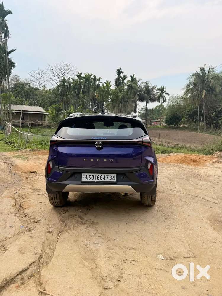 Tata Nexon 2025 Petrol 25377 Km Driven