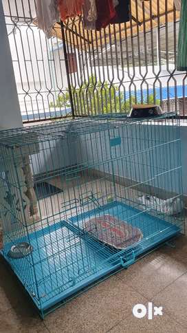 Olx dog cage for sale hotsell