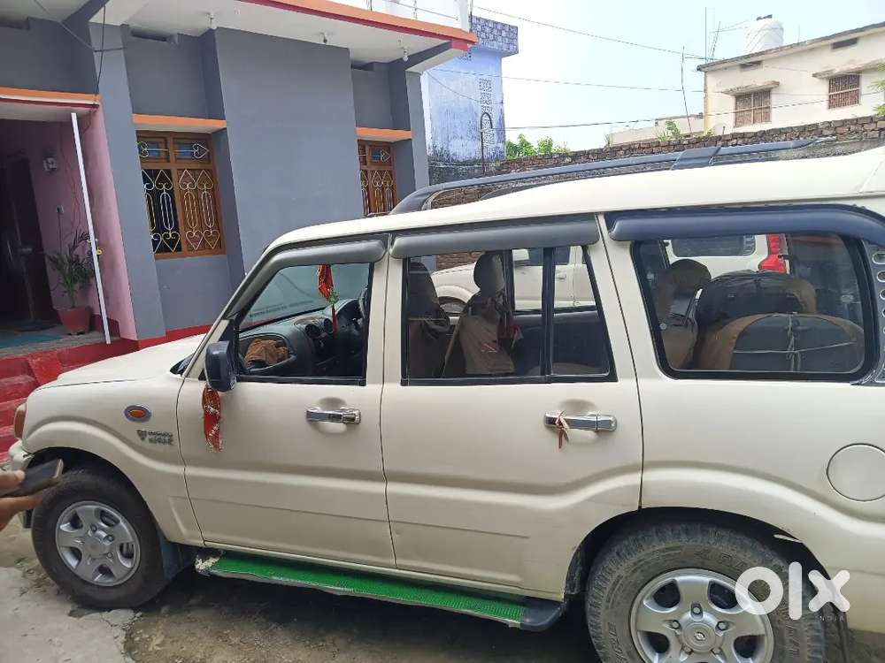 Patpariya Moran