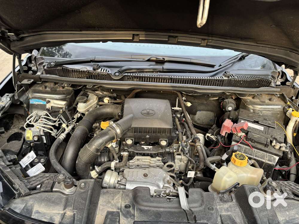 Tata Nexon 1.5 Revotorq Xm Plus (s), 2024, Petrol